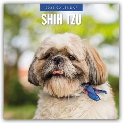 Shih Tzu 2025 - 16-Monatskalender - Red Robin Publishing Ltd