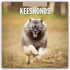 Keeshonds - Wolfsspitz 2025 - 16-Monatskalender - Red Robin Publishing Ltd