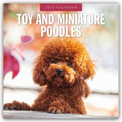 Toy and Miniature Poodles - Zwergpudel 2025 - 16-Monatskalender - Red Robin Publishing Ltd