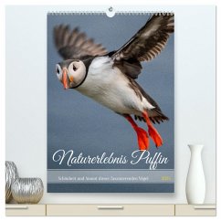 Naturerlebnis Puffin (hochwertiger Premium Wandkalender 2025 DIN A2 hoch), Kunstdruck in Hochglanz