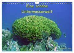 Eine schöne Unterwasserwelt (Wandkalender 2025 DIN A4 quer), CALVENDO Monatskalender - Calvendo;Bauch, Dorothee