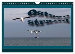 Ostsee-Strand (Wandkalender 2025 DIN A4 quer), CALVENDO Monatskalender - Calvendo;Flori0