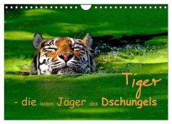 Tiger - die leisen Jäger des Dschungels (Wandkalender 2025 DIN A4 quer), CALVENDO Monatskalender - Calvendo;Krone, Elke