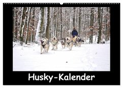 Husky-Kalender (Wandkalender 2025 DIN A2 quer), CALVENDO Monatskalender