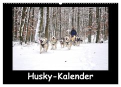 Husky-Kalender (Wandkalender 2025 DIN A2 quer), CALVENDO Monatskalender - Calvendo;andiwolves