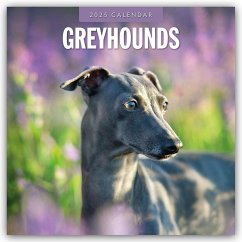 Greyhound - Windhund 2025 - 16-Monatskalender - Red Robin Publishing Ltd