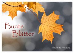 Bunte Blätter (Wandkalender 2025 DIN A2 quer), CALVENDO Monatskalender - Calvendo;Herzog, www.bild-erzaehler.com, Thomas