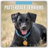 Patterdale Terriers - Patterdale Terrier - Schwarzer Terrier 2025 - 16-Monatskalender