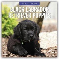 Black Labrador Retriever Puppies - Schwarze Labrador Retriever Welpen 2025 - 16-Monatskalender - Red Robin Publishing Ltd