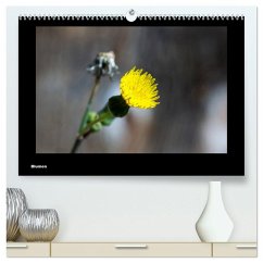 Blumen (hochwertiger Premium Wandkalender 2025 DIN A2 quer), Kunstdruck in Hochglanz - Calvendo;deinhardt, toby