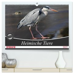 Heimische Tiere (hochwertiger Premium Wandkalender 2025 DIN A2 quer), Kunstdruck in Hochglanz - Calvendo;Schnellewelten