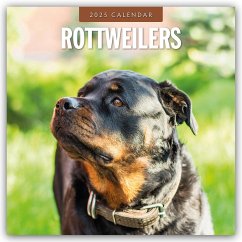 Rottweilers - Rottweiler 2025 - 16-Monatskalender - Red Robin Publishing Ltd