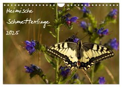 Heimische Schmetterlinge (Wandkalender 2025 DIN A4 quer), CALVENDO Monatskalender