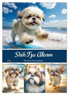 Shih Tzu Alarm. Glückliche Wuschelköpfe (Wandkalender 2025 DIN A2 hoch), CALVENDO Monatskalender - Calvendo;Hurley, Rose