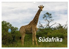 Südafrika (Wandkalender 2025 DIN A3 quer), CALVENDO Monatskalender