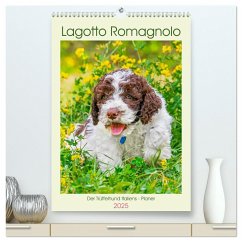 Lagotto Romagnolo - Der Trüffelhund Italiens - Planer (hochwertiger Premium Wandkalender 2025 DIN A2 hoch), Kunstdruck in Hochglanz