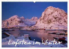 Lofoten im Winter (Wandkalender 2025 DIN A2 quer), CALVENDO Monatskalender - Calvendo;Buschardt, Boris