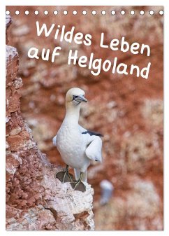 Wildes Leben auf Helgoland (Tischkalender 2025 DIN A5 hoch), CALVENDO Monatskalender