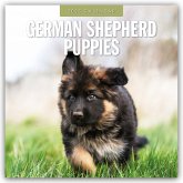 German Shepherd Puppies - Deutsche Schäferhunde Welpen 2025 - 16-Monatskalender
