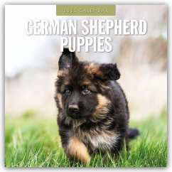 German Shepherd Puppies - Deutsche Schäferhunde Welpen 2025 - 16-Monatskalender - Red Robin Publishing Ltd