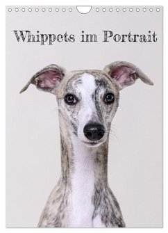Whippets im Portrait (Wandkalender 2025 DIN A4 hoch), CALVENDO Monatskalender