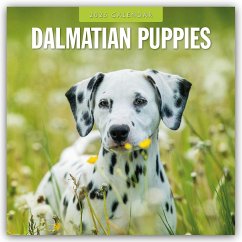 Dalmatian Puppies - Dalmatiner Welpen 2025 - 16-Monatskalender - Red Robin Publishing Ltd