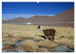 Bolivien (Wandkalender 2025 DIN A2 quer), CALVENDO Monatskalender - Calvendo;Alboter