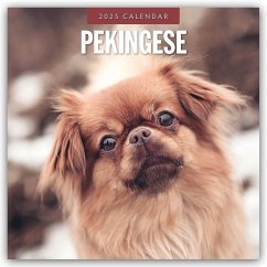 Pekingese - Pekinese - Peking Palasthund 2025 - 16-Monatskalender - Red Robin Publishing Ltd