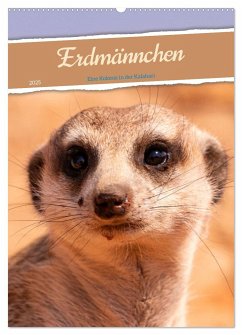 Erdmännchen - Eine Kolonie in der Kalahari (Wandkalender 2025 DIN A2 hoch), CALVENDO Monatskalender