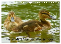 Die Kinderstube der Wasservögel (Wandkalender 2025 DIN A4 quer), CALVENDO Monatskalender