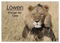 Löwen - Könige der Tiere (Tischkalender 2025 DIN A5 quer), CALVENDO Monatskalender