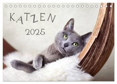 Katzen 2025 (Tischkalender 2025 DIN A5 quer), CALVENDO Monatskalender