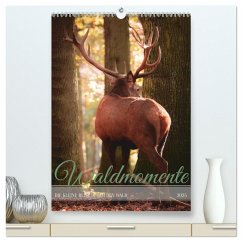 Waldmomente (hochwertiger Premium Wandkalender 2025 DIN A2 hoch), Kunstdruck in Hochglanz