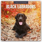 Black Labrador Retrievers - Schwarze Labrador Retriever 2025 - 16-Monatskalender