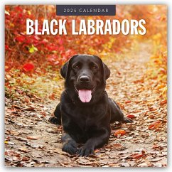 Black Labrador Retrievers - Schwarze Labrador Retriever 2025 - 16-Monatskalender - Red Robin Publishing Ltd