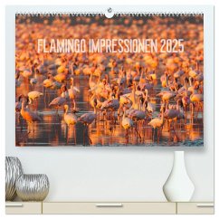Flamingo Impressionen 2025 (hochwertiger Premium Wandkalender 2025 DIN A2 quer), Kunstdruck in Hochglanz - Calvendo;Gerlach, Ingo