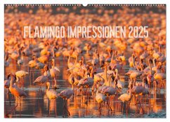 Flamingo Impressionen 2025 (Wandkalender 2025 DIN A2 quer), CALVENDO Monatskalender