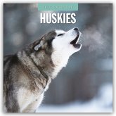 Huskies - Husky - Huskys 2025 - 16-Monatskalender