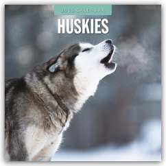 Huskies - Husky - Huskys 2025 - 16-Monatskalender - Red Robin Publishing Ltd