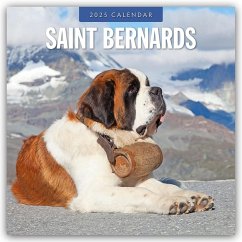 Saint Bernards - Bernhardiner 2025 - 16-Monatskalender - Red Robin Publishing Ltd
