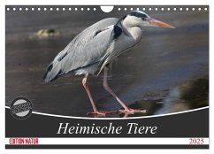 Heimische Tiere (Wandkalender 2025 DIN A4 quer), CALVENDO Monatskalender