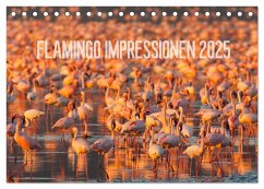 Flamingo Impressionen 2025 (Tischkalender 2025 DIN A5 quer), CALVENDO Monatskalender - Calvendo;Gerlach, Ingo