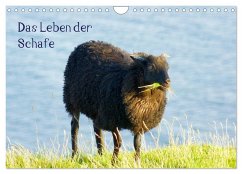 Das Leben der Schafe (Wandkalender 2025 DIN A4 quer), CALVENDO Monatskalender - Calvendo;Kattobello