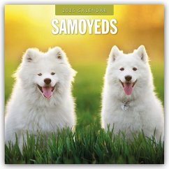 Samoyeds - Samojede - Samojedenspitz 2025 - 16-Monatskalender - Red Robin Publishing Ltd
