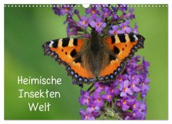 Heimische Insekten Welten (Wandkalender 2025 DIN A3 quer), CALVENDO Monatskalender