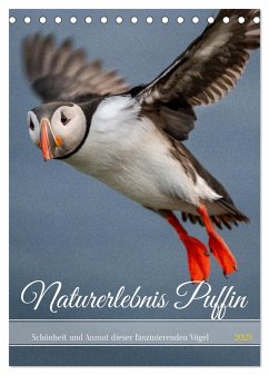 Naturerlebnis Puffin (Tischkalender 2025 DIN A5 hoch), CALVENDO Monatskalender