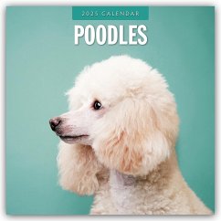 Poodles - Pudel 2025 - 16-Monatskalender - Red Robin Publishing Ltd
