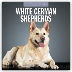 White German Shepherds - Weißer Deutscher Schäferhund 2025 - 16-Monatskalender - Red Robin Publishing Ltd