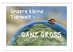 Unsere kleine Tierwelt - GANZ GROSS (Wandkalender 2025 DIN A4 quer), CALVENDO Monatskalender - Calvendo;Schmidt, Sabine