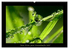 Meine kleine grüne Wassertropfen Welt (Wandkalender 2025 DIN A2 quer), CALVENDO Monatskalender